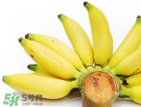 皇帝蕉有什么好處？皇帝蕉的功效與作用
