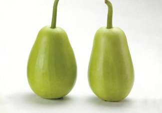 苦瓠子有毒嗎？苦瓠子中毒怎么辦？