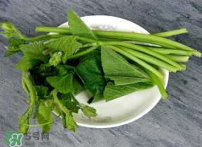 南瓜葉怎么處理？南瓜葉怎么炒？