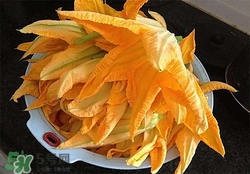 南瓜花有什么作用？南瓜花的作用及禁忌