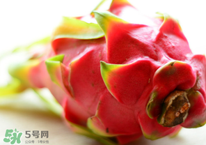 七月份可以種火龍果嗎？火龍果什么時(shí)候種植？