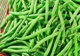 7月份可以種豆角嗎？豆角幾月份種？