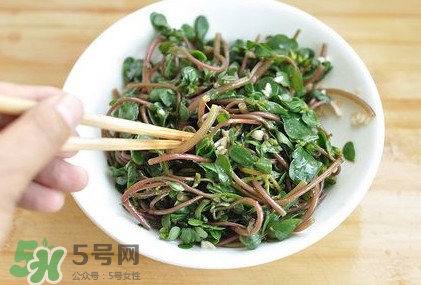 螞蚱菜怎么吃？螞蚱菜怎么做好吃