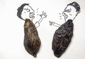口味王檳榔是什么東西？口味王檳榔怎么吃