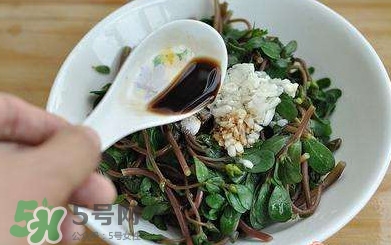 螞蚱菜怎么炒好吃？螞蚱菜做法有哪幾種