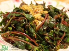 螞蚱菜怎么炒好吃？螞蚱菜做法有哪幾種