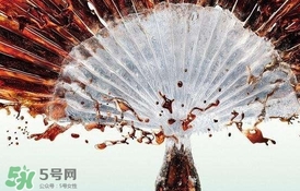 運動后可以喝可樂嗎？運動后喝可樂會胖嗎？
