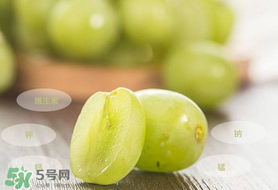 青提怎么保存？青提可以放冰箱嗎？