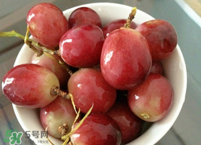 紅提多少錢一斤？紅提子多少錢一斤？