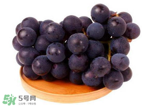巨峰葡萄幾月份成熟？巨峰葡萄什么時(shí)候成熟？