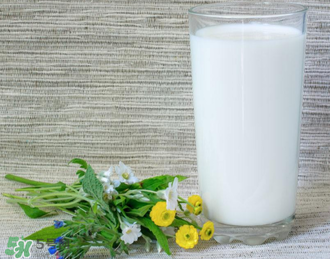 脫脂奶粉哪個(gè)牌子好？脫脂奶粉什么品牌的好？