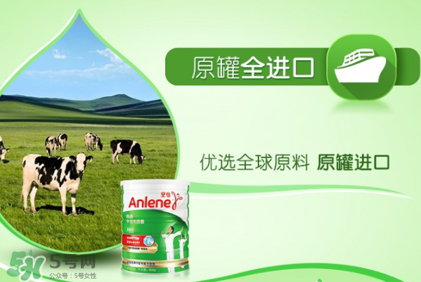 Anlene安怡奶粉怎么樣？Anlene安怡奶粉好不好？