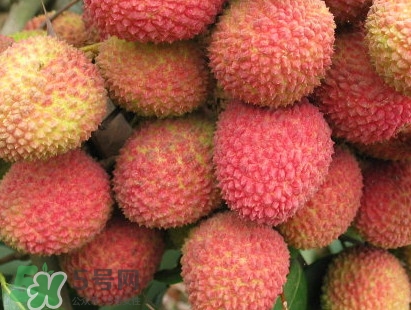 增城和從化荔枝哪個(gè)出名？哪種荔枝最有名