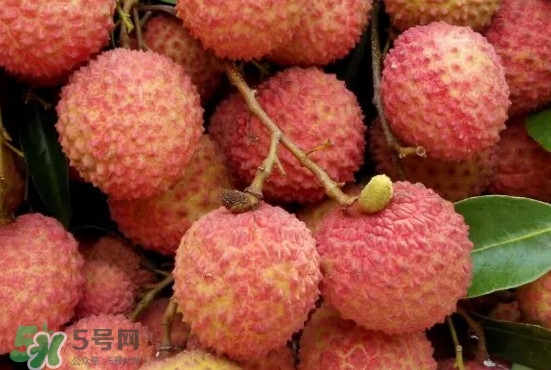 掛綠荔枝什么時候上市？掛綠荔枝什么時候成熟