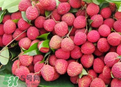 增城荔枝多少錢一斤？增城荔枝哪里的最好吃