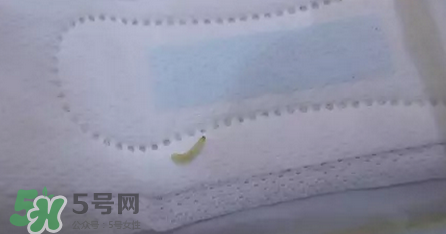 高潔絲衛(wèi)生巾有蟲嗎？高潔絲衛(wèi)生巾有熒光劑
