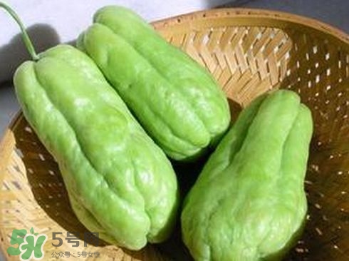 佛手瓜汁沾到手上怎樣洗？佛手瓜怎么做好吃？