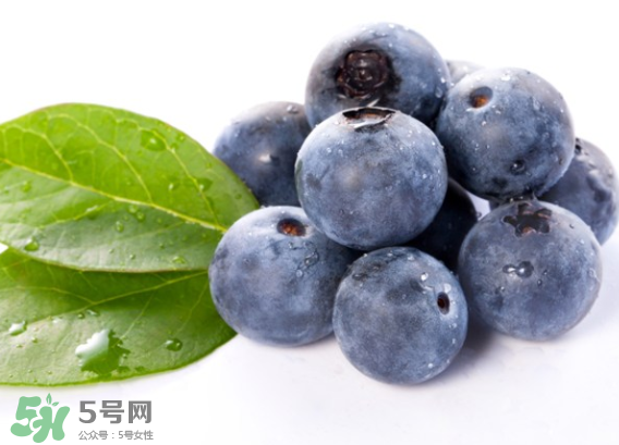藍(lán)莓是什么顏色？藍(lán)莓泡水什么顏色？