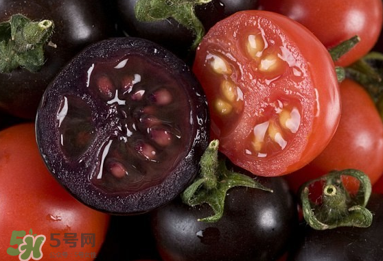 藍(lán)莓和番茄能一起吃嗎？藍(lán)莓和西紅柿能一起吃嗎？