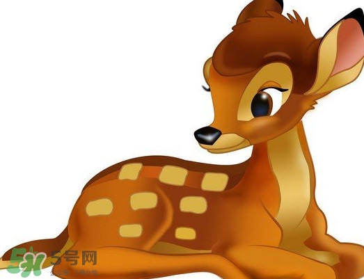 斑比跪是什么意思？斑比跪是什么坐勢(shì)