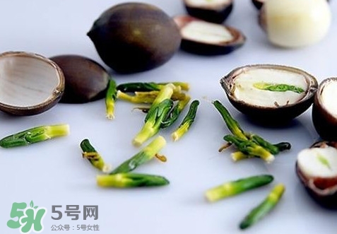 蓮子心能吃嗎？蓮子心是藥食同源嗎