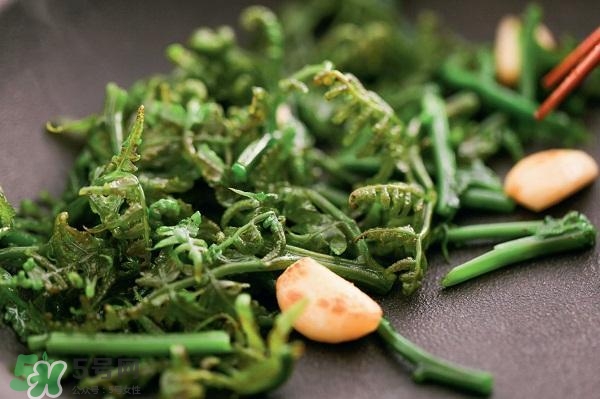 龍須菜怎么清洗？龍須菜怎么處理？