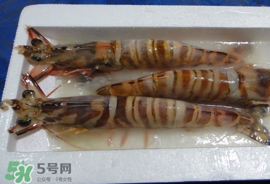竹節(jié)蝦該怎么吃？竹節(jié)蝦怎么處理干凈