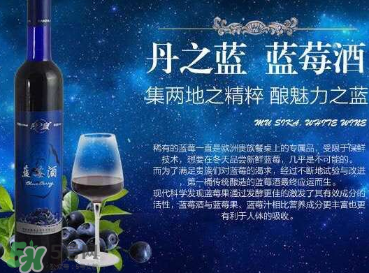 藍(lán)莓酒多少錢(qián)一瓶？藍(lán)莓王酒多少錢(qián)一瓶？
