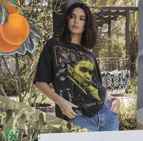 kendall kylie2017復古系列短袖t恤怎么樣_好看嗎_款式有哪些？