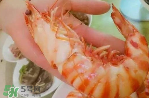 九節(jié)蝦是海蝦嗎？九節(jié)蝦是海蝦還是河蝦