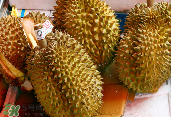 托曼尼榴蓮怎么才是熟？托曼尼榴蓮怎么看生熟？