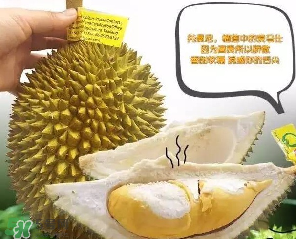 托曼尼榴蓮又叫什么？托曼尼榴蓮簡(jiǎn)介