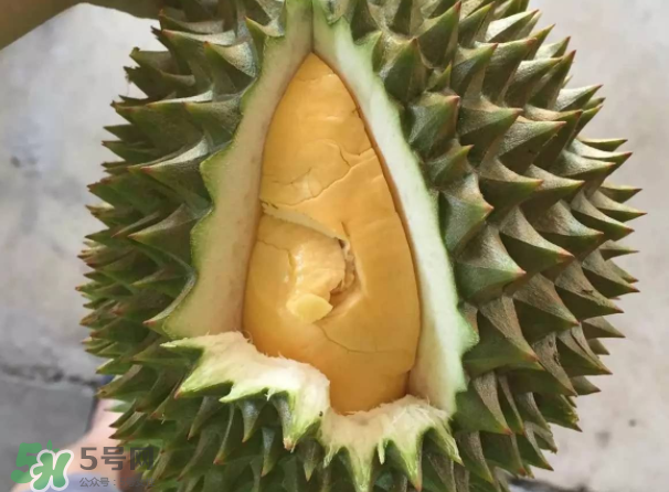 托曼尼榴蓮又叫什么？托曼尼榴蓮簡(jiǎn)介