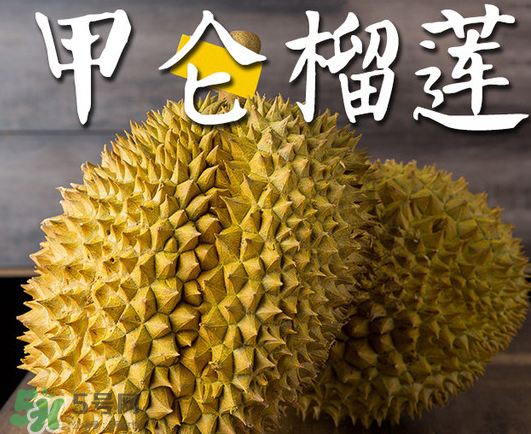 泰國甲倫榴蓮好吃嗎？甲倫榴蓮的特點