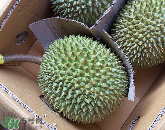 干堯榴蓮怎么樣算熟了？干堯榴蓮怎么挑選？