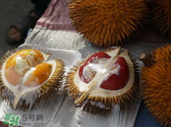 榴蓮核可以煲湯嗎？榴蓮核可以煲雞湯嗎？