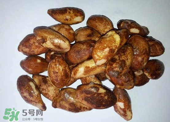 榴蓮核可以煲湯嗎？榴蓮核可以煲雞湯嗎？
