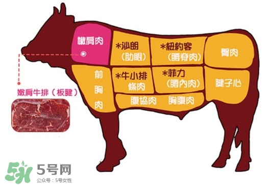 牛排是牛的哪個(gè)部位？牛排是牛身上哪塊肉？