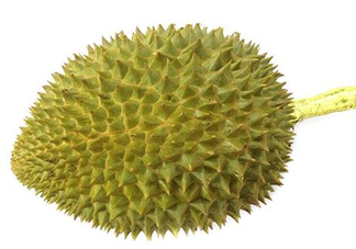 托曼尼榴蓮多少錢(qián)？托曼尼榴蓮是哪里的？