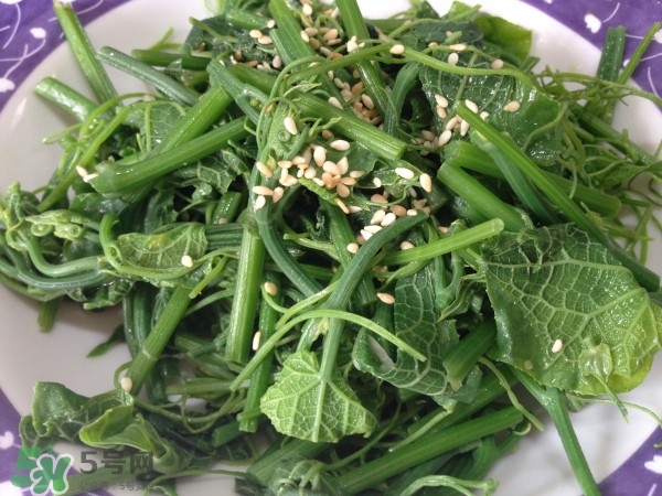 龍須菜怎么清洗？龍須菜怎么處理？