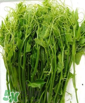龍須菜有幾種？龍須菜多少錢(qián)一斤？