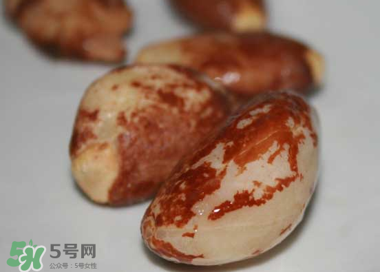 榴蓮核可以煲湯嗎？榴蓮核可以煲雞湯嗎？