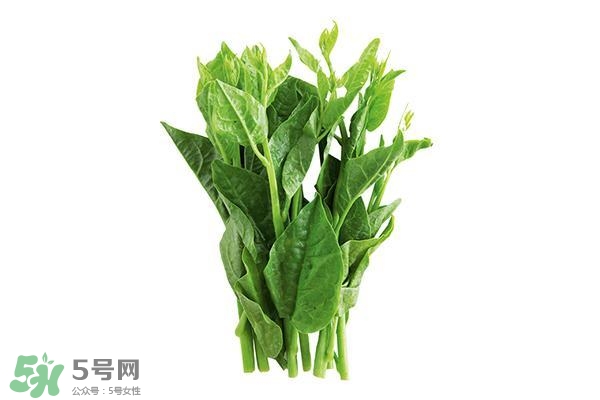 龍須菜有幾種？龍須菜多少錢(qián)一斤？