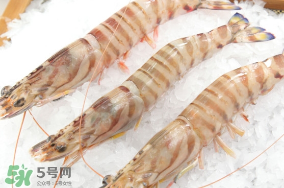 竹節(jié)蝦是海里的嗎？竹節(jié)蝦是海蝦還是河蝦