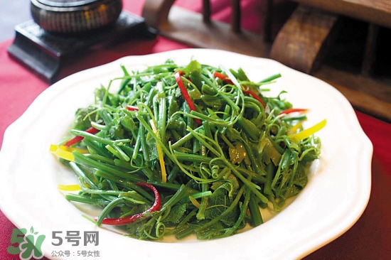 龍須菜是什么菜？龍須菜怎么吃？