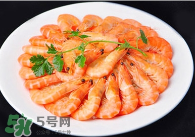 竹節(jié)蝦和基圍蝦哪個好？基圍蝦貴還是竹節(jié)蝦貴