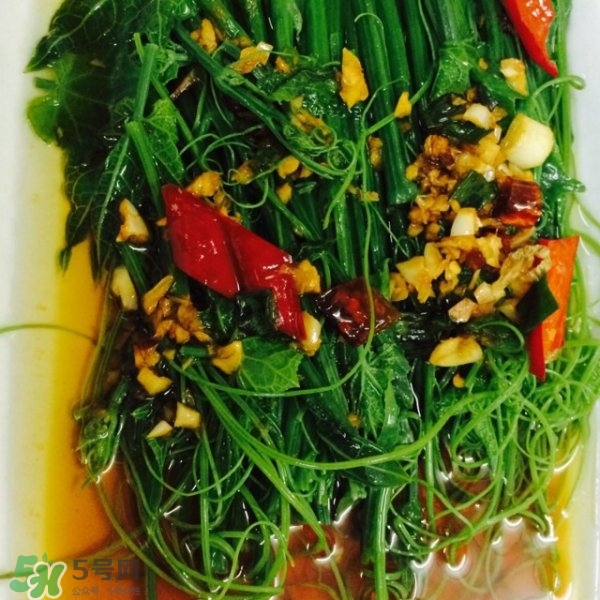 龍須菜怎么清洗？龍須菜怎么處理？