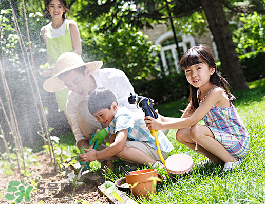 八月份可以種什么菜？八月份適合種植的蔬菜