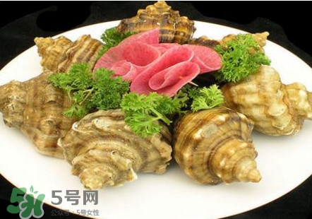 海螺可以冷凍嗎？海螺放冰箱能保存多久