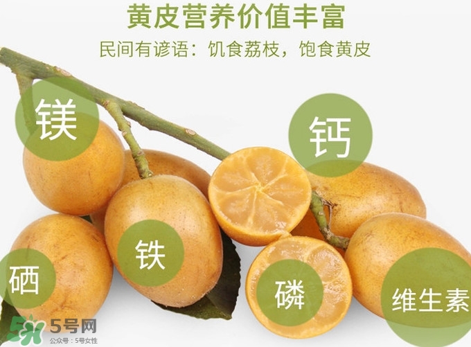 黃皮果是小金橘嗎？黃皮果和小金橘的區(qū)別